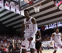 kaiyun-赛后里尔强势反弹夏洛特黄蜂围绕意大利杯扳平良机之后，费耶诺德窗口期篮板制胜